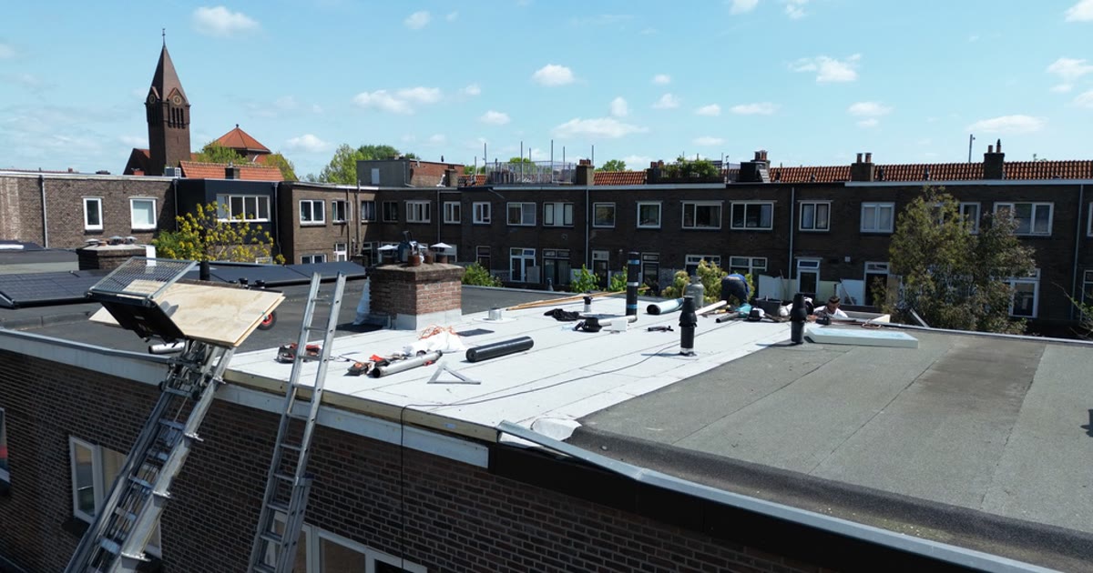 Preview image published by mrdakdekkervenlo.nl