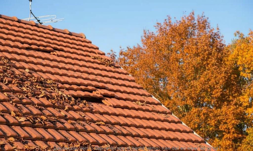 Dakrenovatie In Herfst Venlo