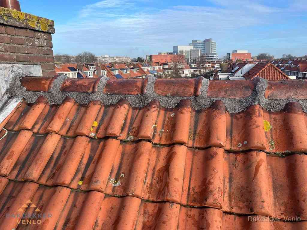 Venlo Daken Renoveren